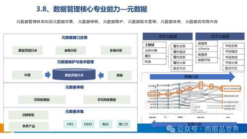 xx集團(tuán)數(shù)據(jù)治理體系建設(shè)方案——數(shù)據(jù)處理服務(wù)專項(xiàng)設(shè)計(jì)